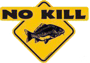 no kill
